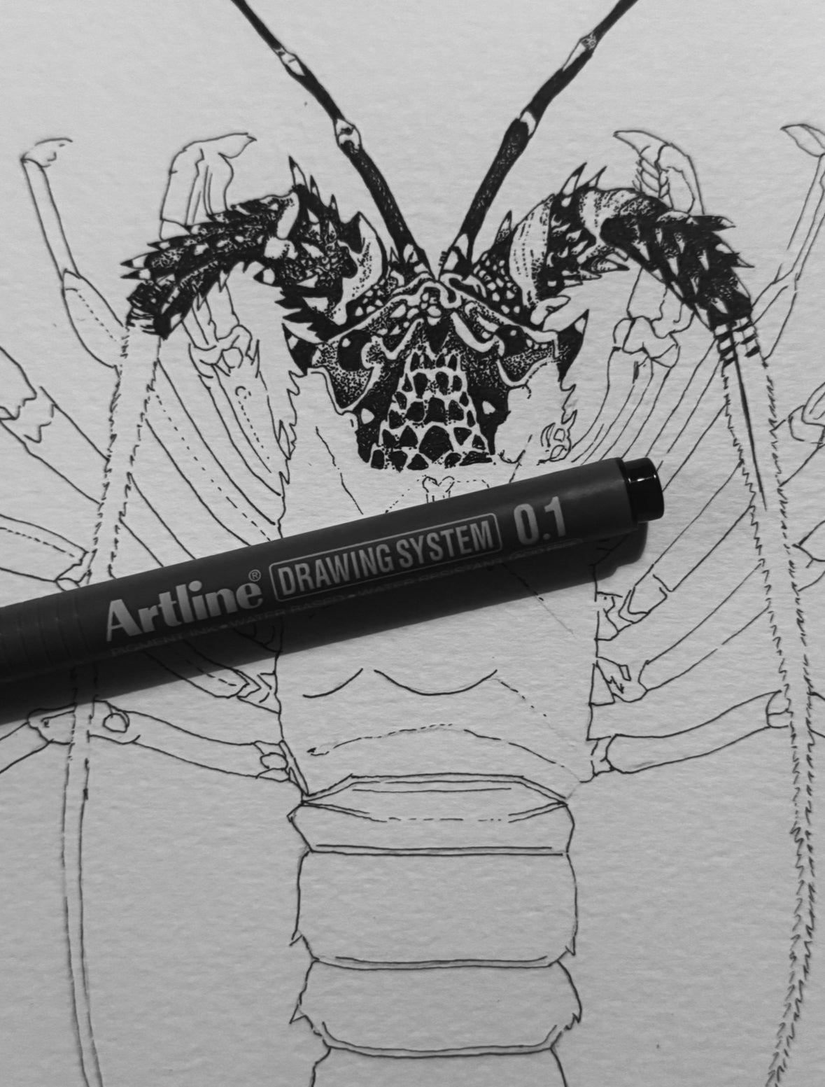 Crayfish- Southern Rock Lobster