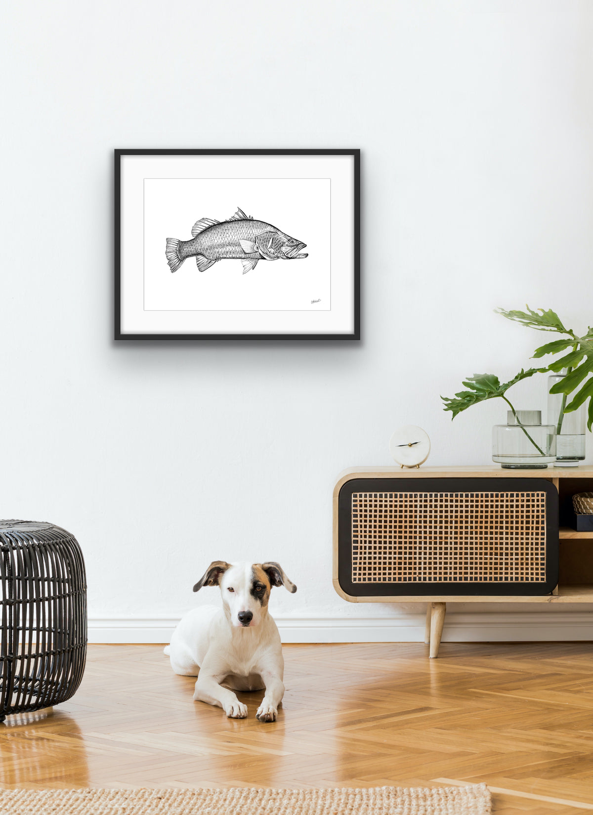 Barramundi Fine Art Prints