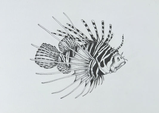 Lion Fish Fine Art Print