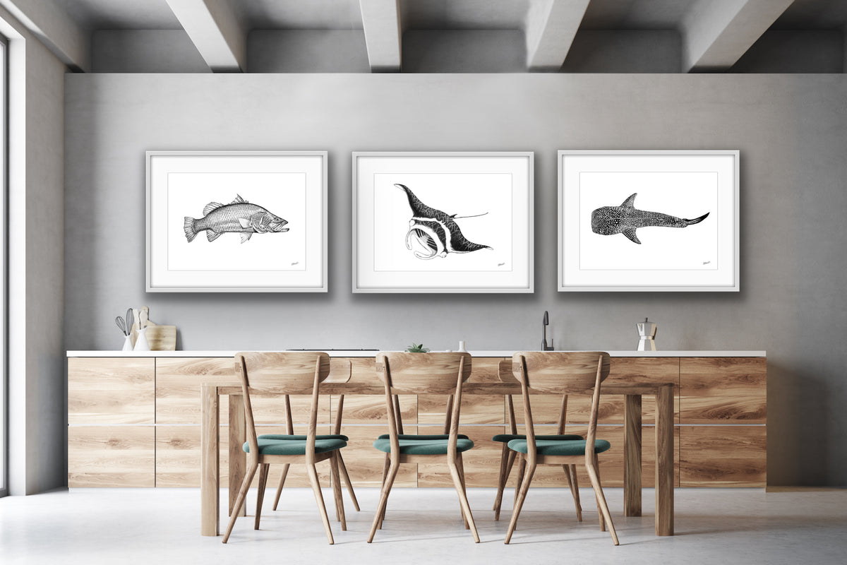 Barramundi Fine Art Prints