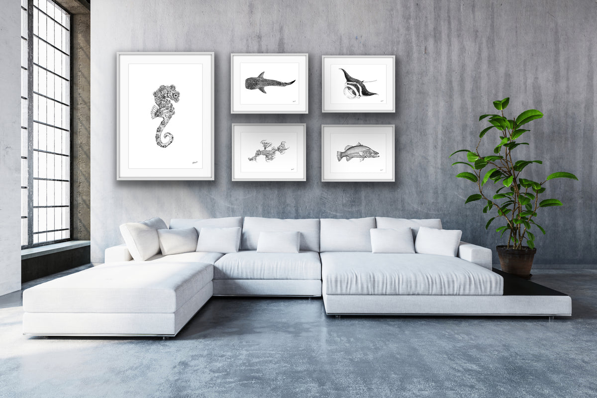 Barramundi Fine Art Prints